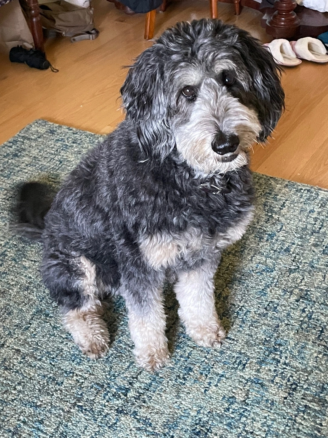 KakaoTalk_Photo_2021-12-31-00-00-22 002.jpeg