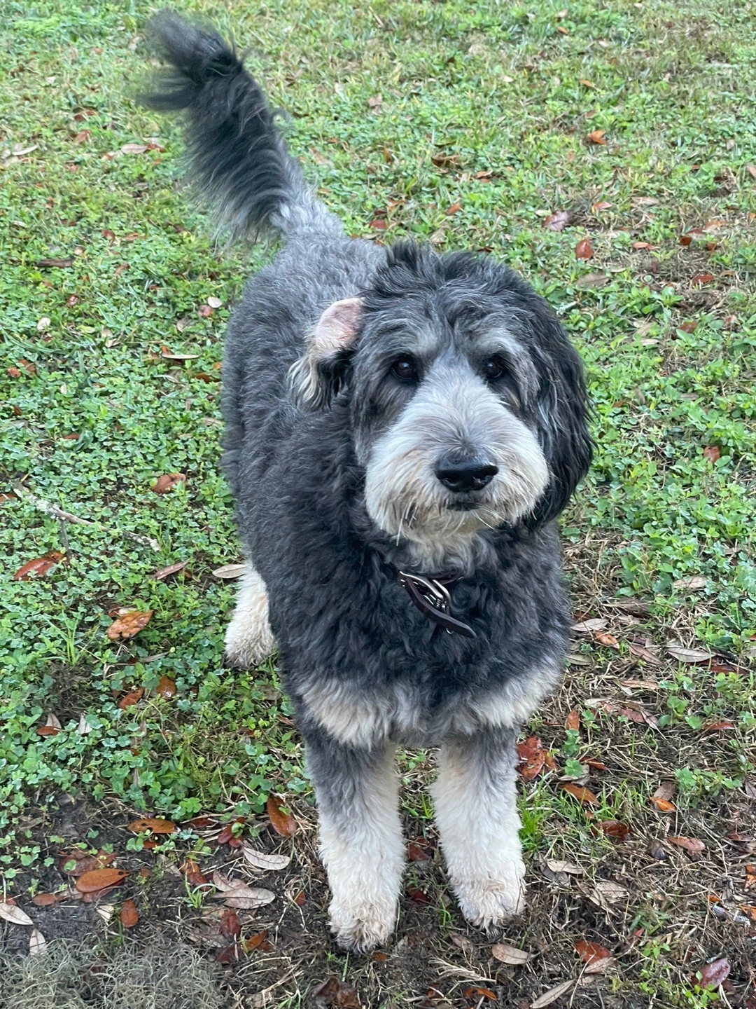 KakaoTalk_Photo_2021-12-31-00-00-46 005.jpeg