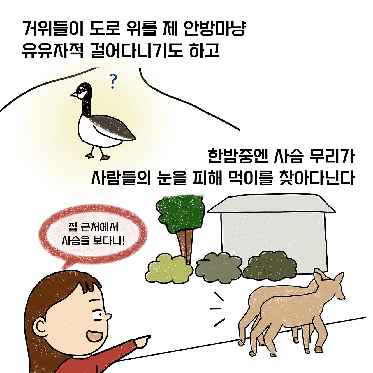 제목_없는_아트워크 66.JPG