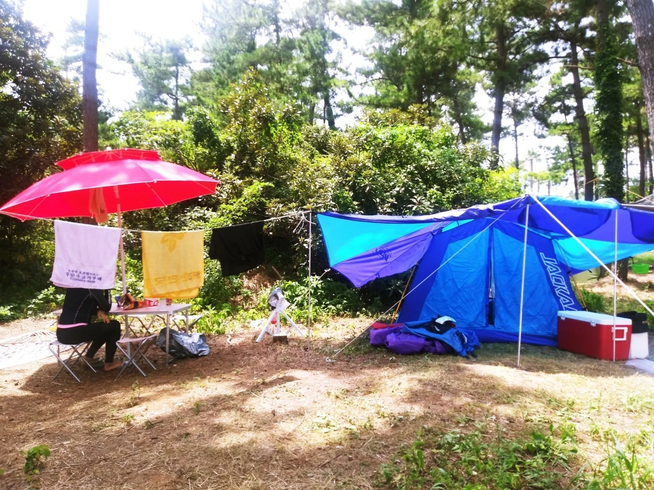 %EC%82%AC%EB%B3%B8_-h_ijiUd018svchq09j62o1p69_rr290q.jpg?type=w1600