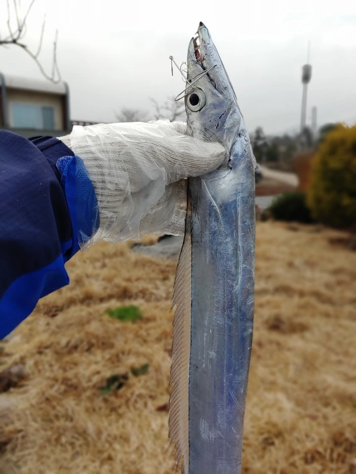 KakaoTalk_20190115_110730453.jpg?type=w1600