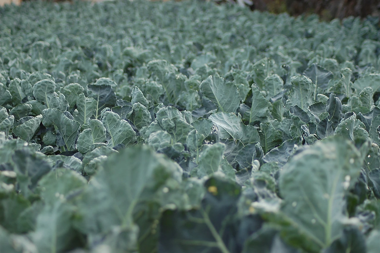 KakaoTalk_20190218_130131909.jpg?type=w1600