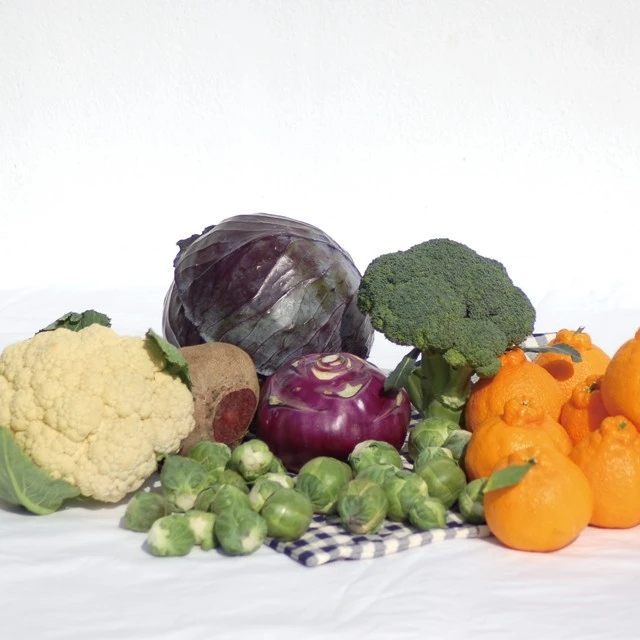 32688986057434697_871413672.jpg?type=w1600