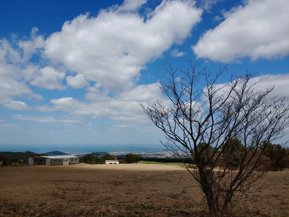 KakaoTalk_20200612_103122129.jpg?type=w1600