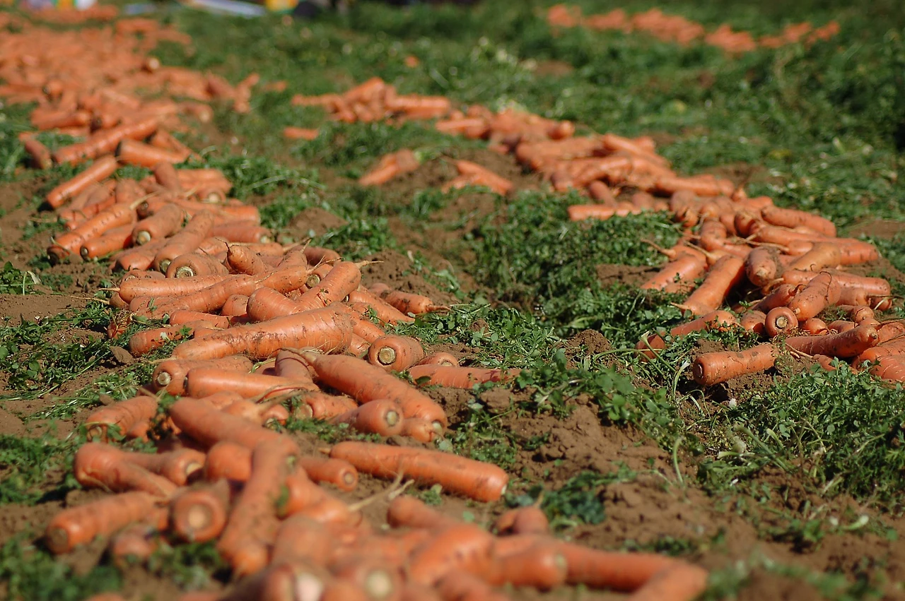 KakaoTalk_20190217_192430342.jpg?type=w1600