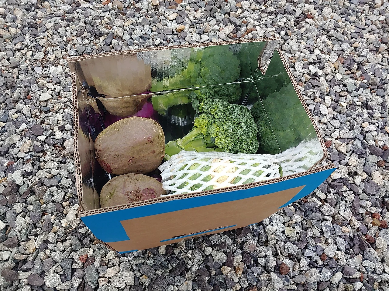 KakaoTalk_20190214_105547540.jpg?type=w1600