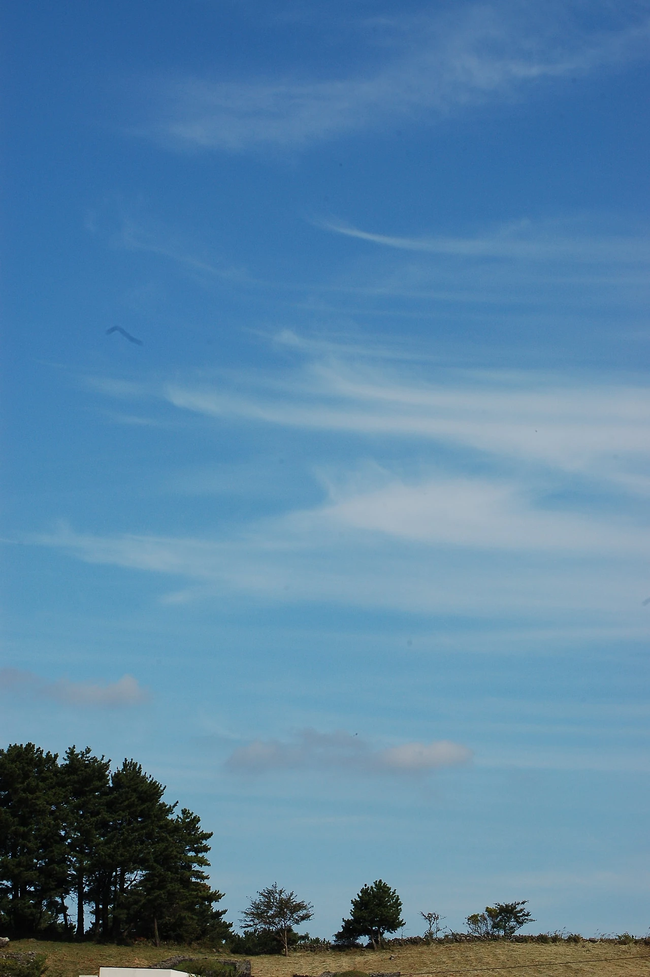 DSC_8585.JPG?type=w1600