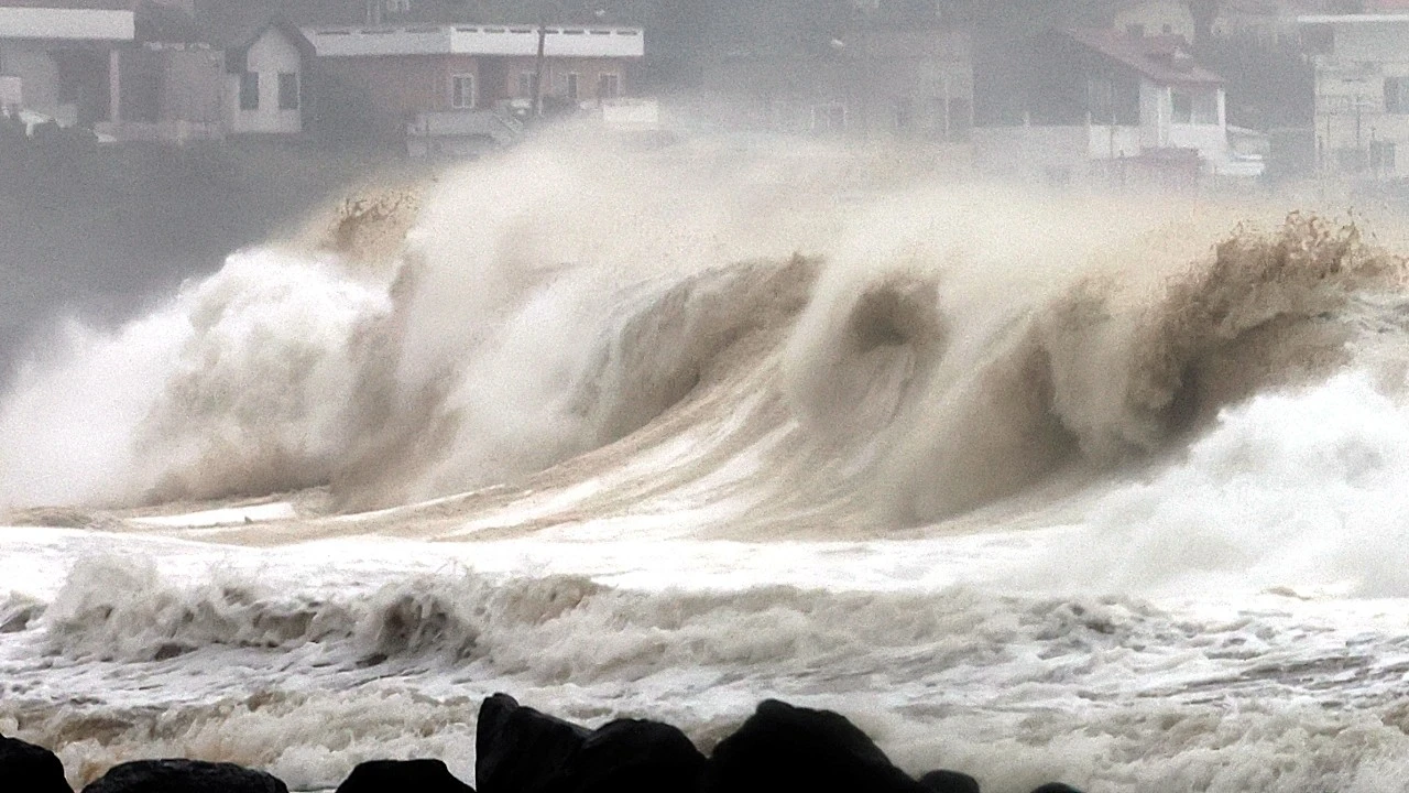 202209050953454286_t.jpg?type=w1600