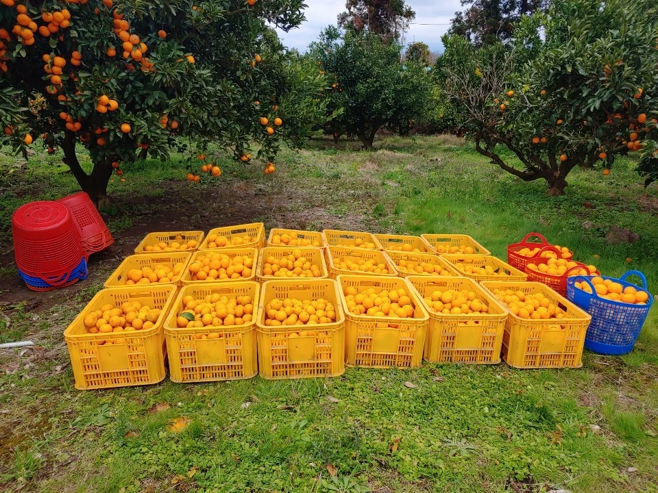 KakaoTalk_20201130_140322555.jpg?type=w1600