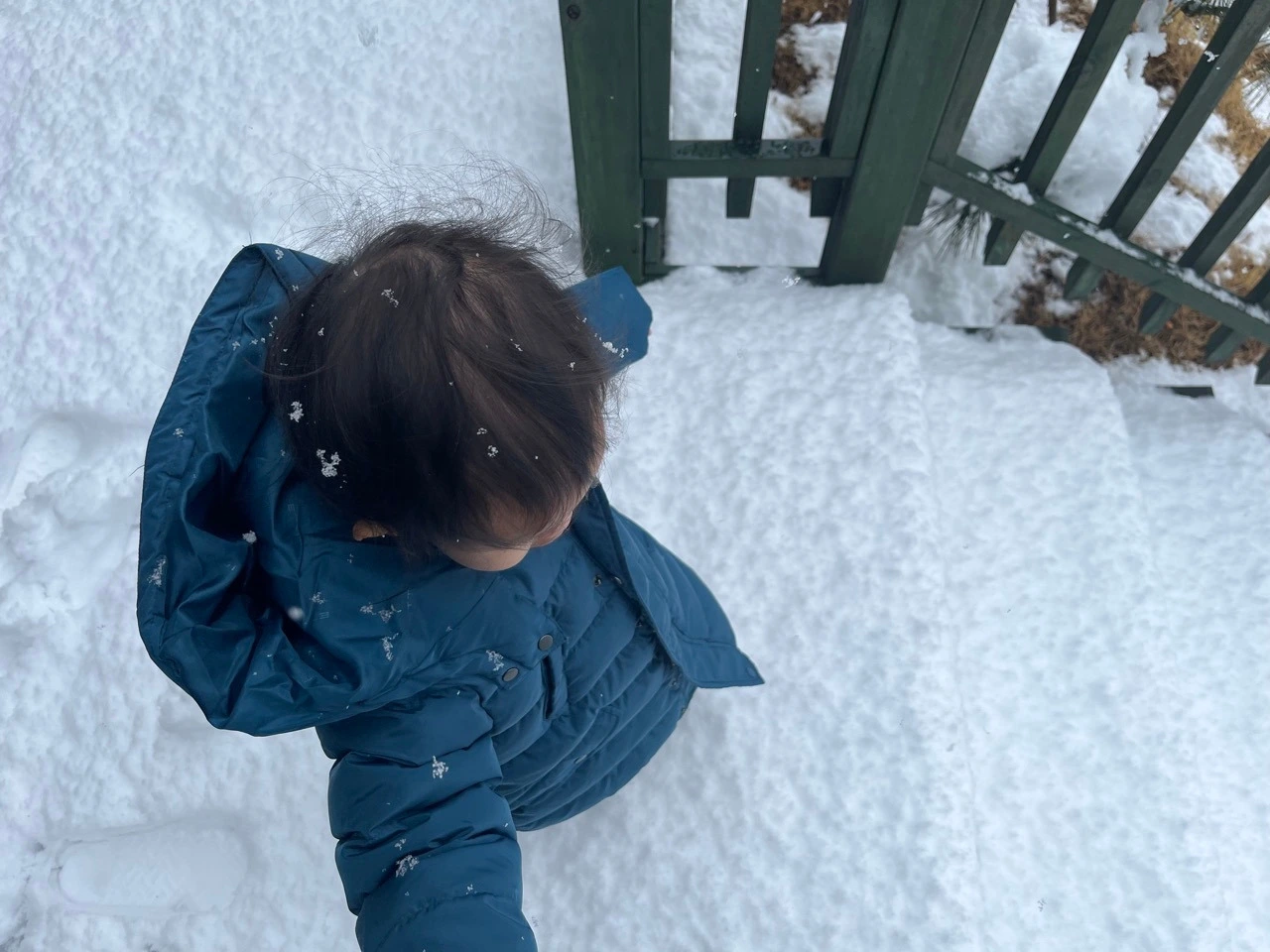 다운로드 (2).jpeg