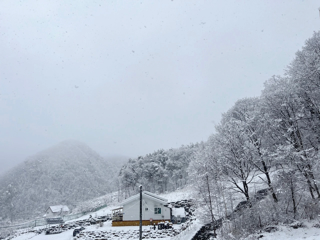 다운로드 (1).jpeg