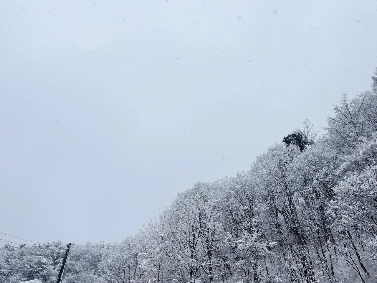 다운로드 (4).jpeg