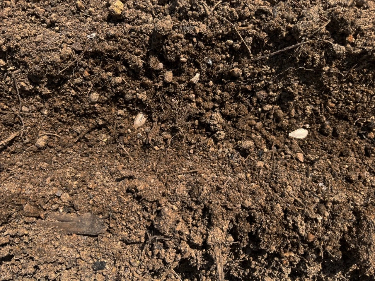 다운로드 3.jpeg