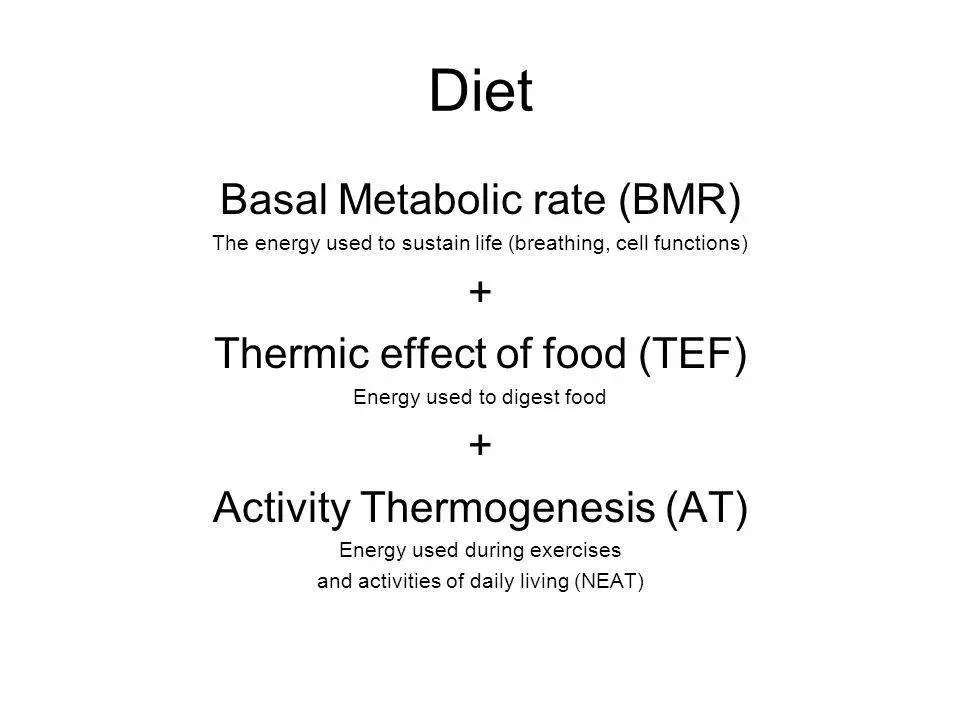 11036626_10153444480742777_3527110198278625703_n.jpg?_nc_cat=107&ccb=1-7&_nc_sid=a74216&_nc_ohc=kxP0622HlaYQ7kNvgGQz4Kw&_nc_ht=scontent-ssn1-1.xx&oh=00_AYDOs1HlHSy8LJhdKK1S27POTQi26DQunepgyzeuuvAyaA&oe=66DA1D66