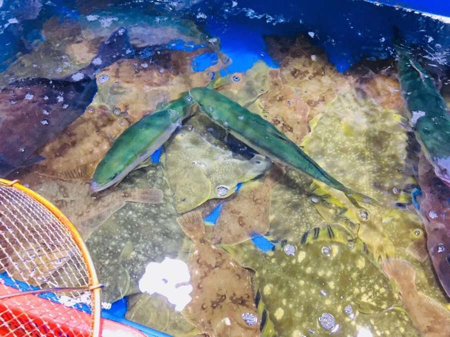 7B4BC94A-BFF5-4169-A8C8-22412145DA89.jpg?type=w966