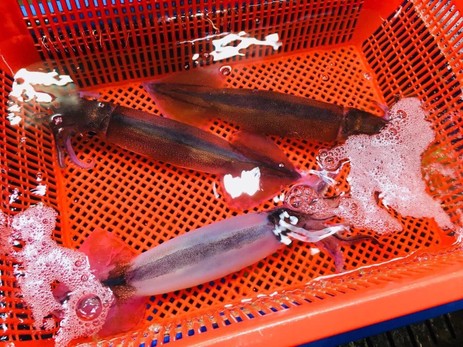 EB08EF61-6A52-4AFA-ABD4-DE6E86AB0C8C.jpg?type=w966