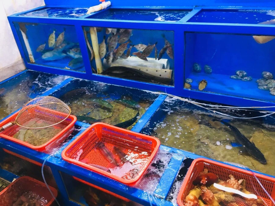 3BDBAAC7-CB22-4931-B337-8FC39D9245B3.jpg?type=w966