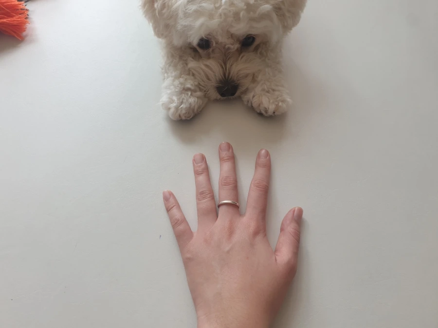 se%EF%BC%BFone%EF%BC%BF20220912%EF%BC%BF115500%EF%BC%BFa.jpg?type=w1