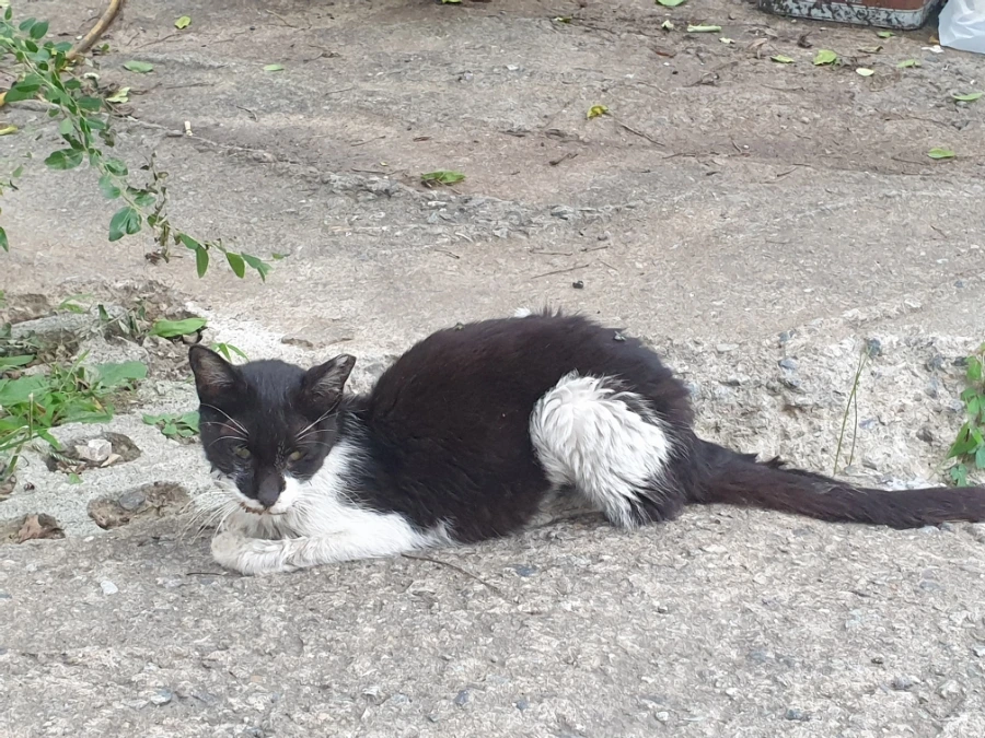 20220903%EF%BC%BF175430.jpg?type=w1