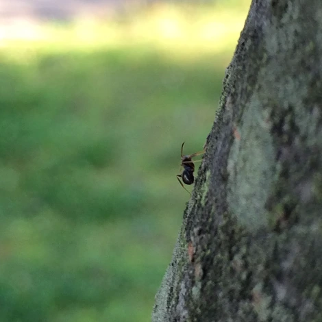 2014-10-06 08.59.37.jpg