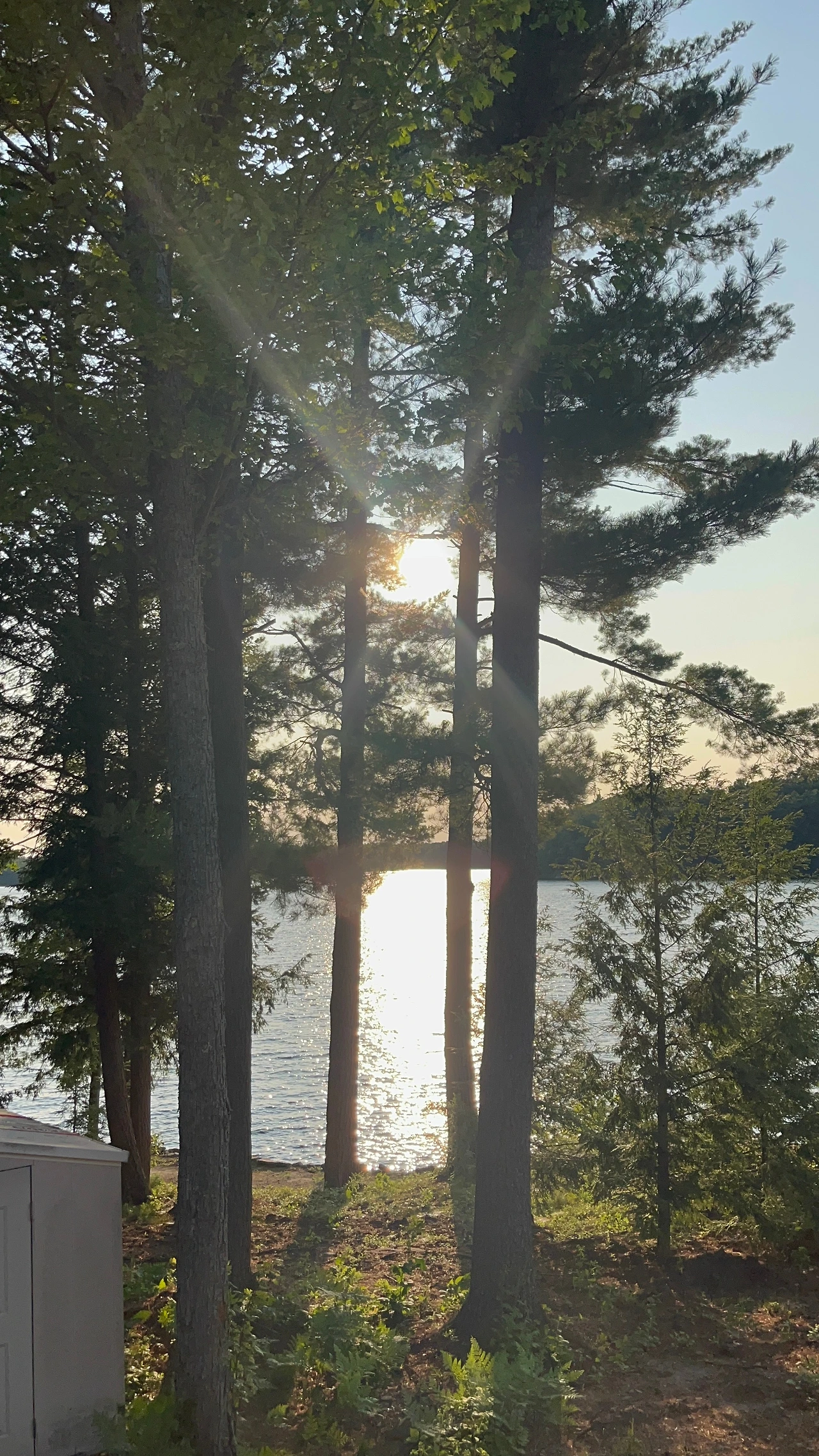 KakaoTalk_Photo_2025-08-08-18-04-15 001.jpeg