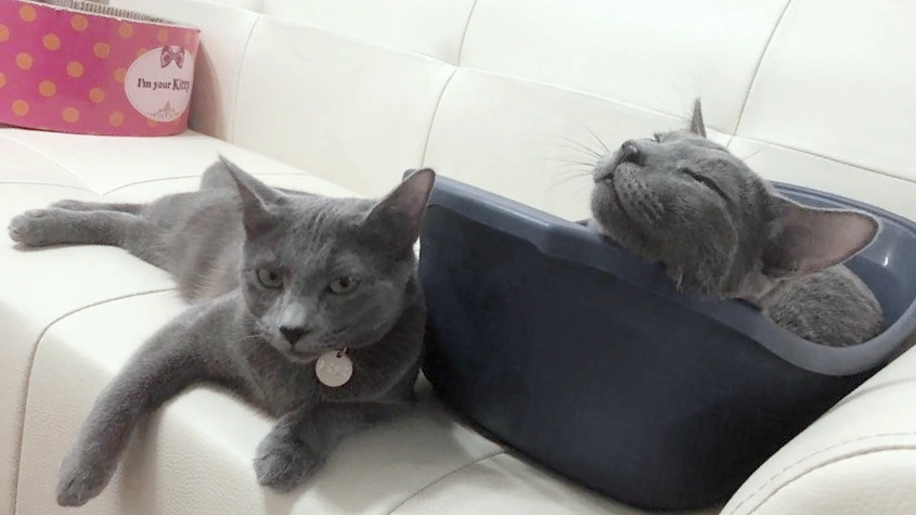 평온 유리나나.jpeg