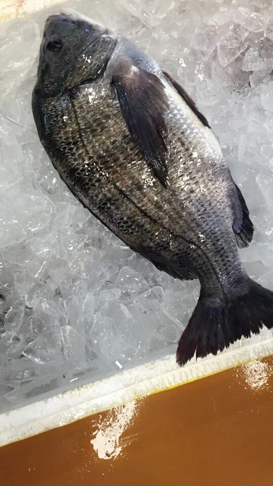 attachImage_74006461.jpeg?type=w1200