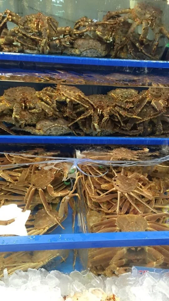 attachImage_101352759.jpeg?type=w1200