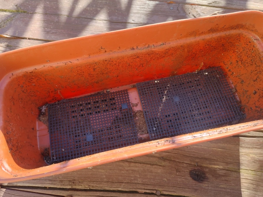 900%EF%BC%BF20251230%EF%BC%BF102609%EF%BC%BFHDR.jpg?type=w1