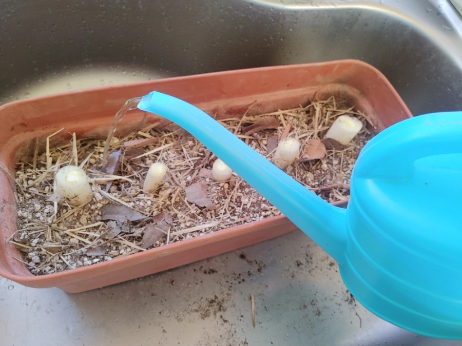 900%EF%BC%BF20251230%EF%BC%BF104746.jpg?type=w1