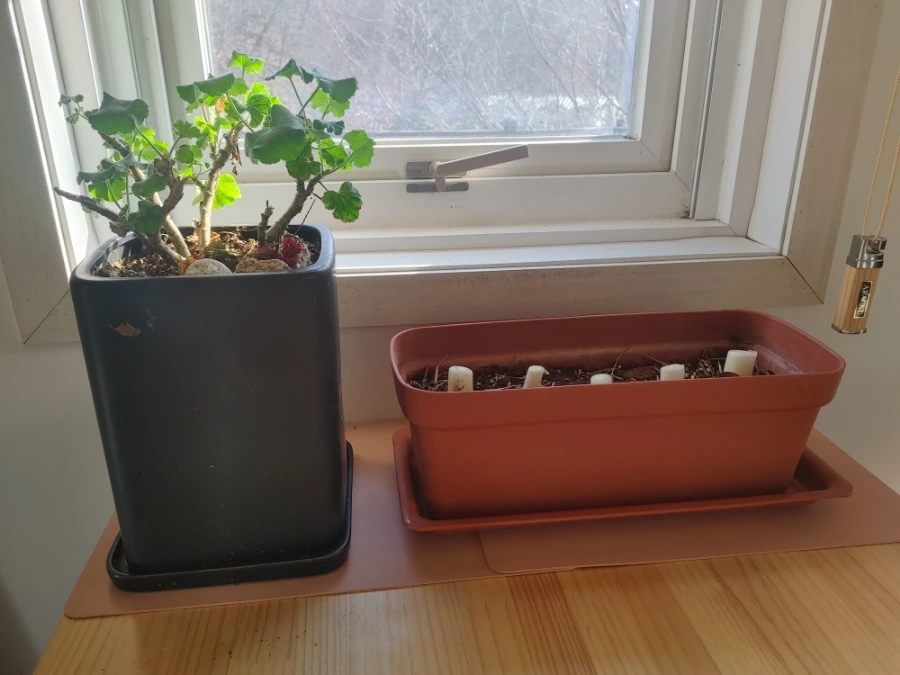 900%EF%BC%BF20251230%EF%BC%BF135809%EF%BC%BFHDR.jpg?type=w1