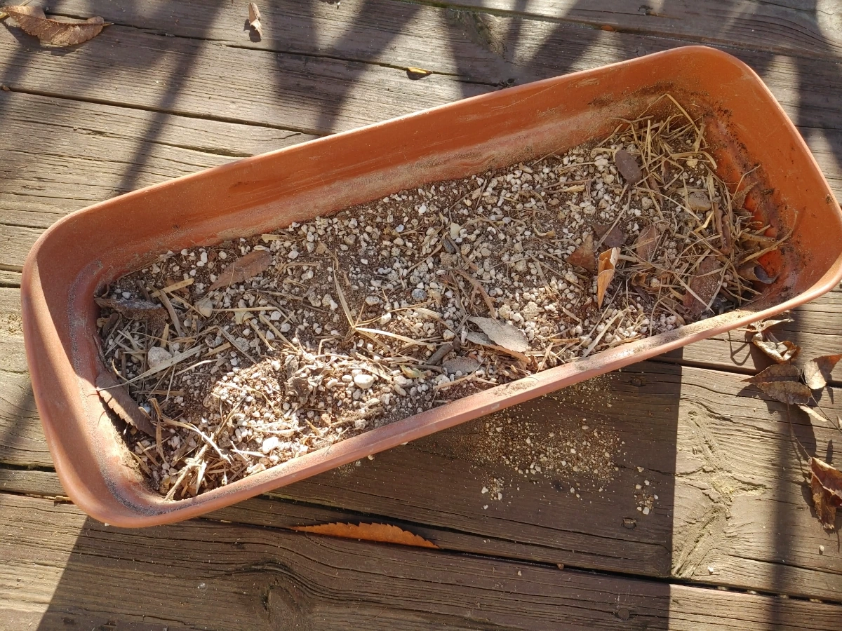 900%EF%BC%BF20251230%EF%BC%BF103335%EF%BC%BFHDR.jpg?type=w1