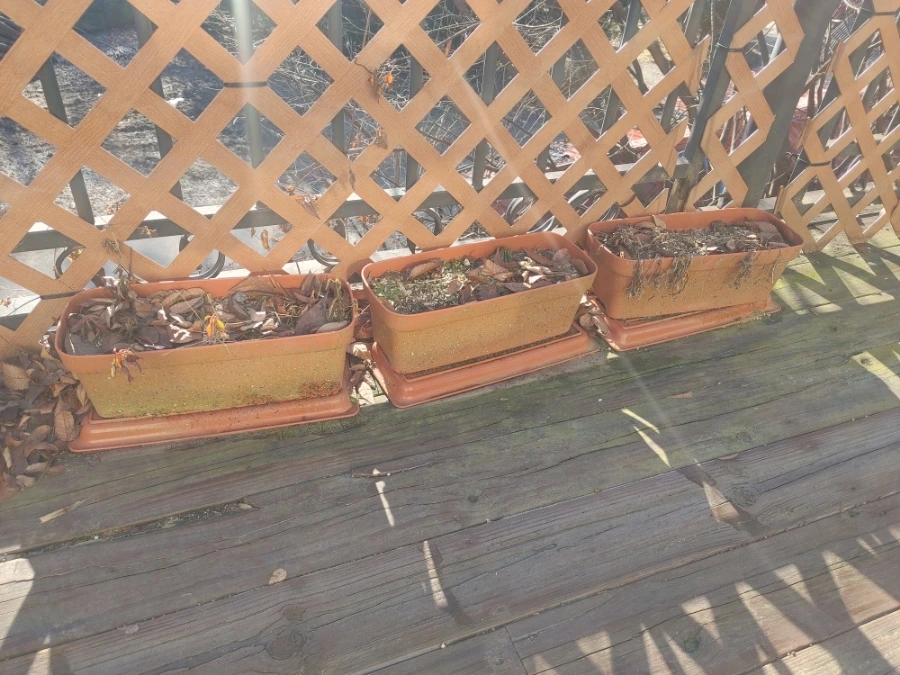 900%EF%BC%BF20251230%EF%BC%BF101851%EF%BC%BFHDR.jpg?type=w1