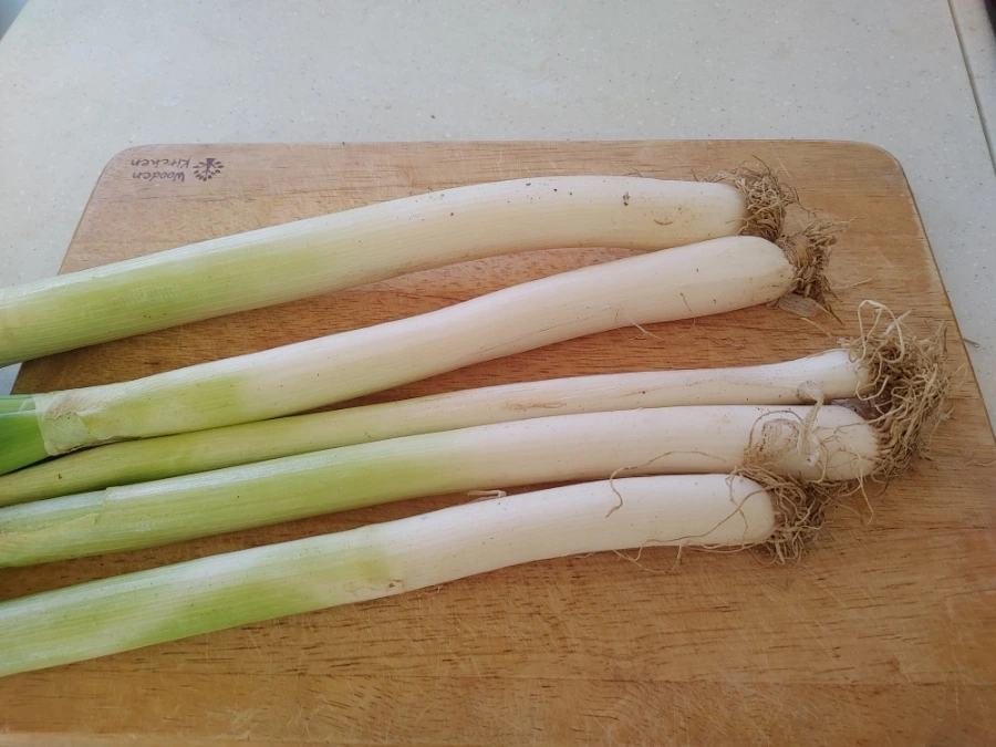 900%EF%BC%BF20251230%EF%BC%BF101223.jpg?type=w1