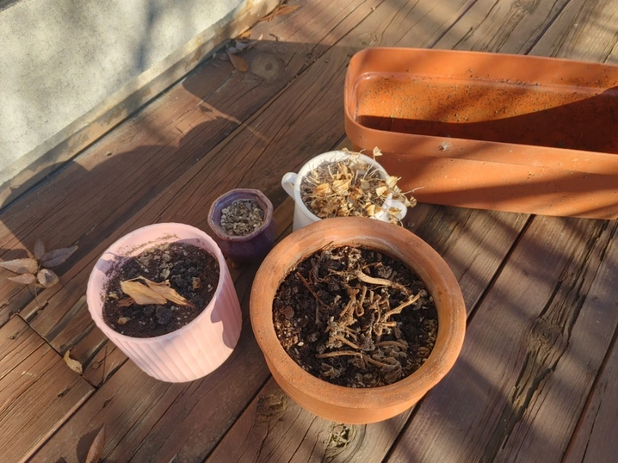 900%EF%BC%BF20251230%EF%BC%BF102307%EF%BC%BFHDR.jpg?type=w1