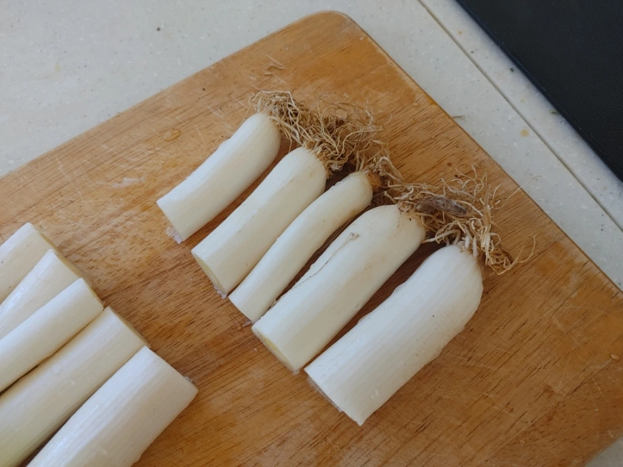 900%EF%BC%BF20251230%EF%BC%BF101323.jpg?type=w1