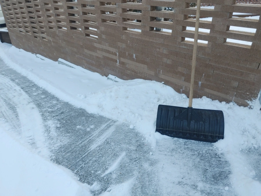 900%EF%BC%BF20260113%EF%BC%BF082451.jpg?type=w1