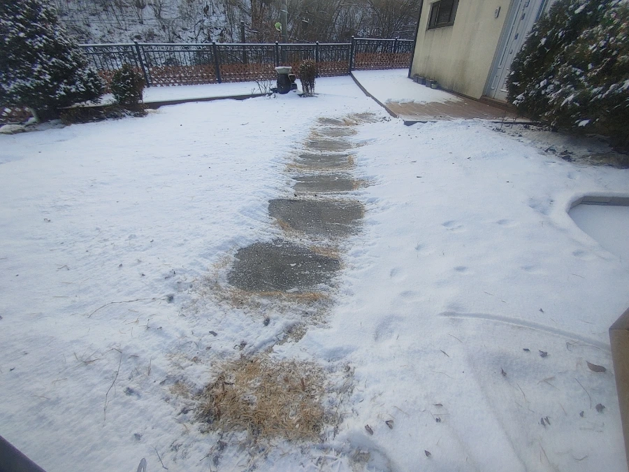 900%EF%BC%BF20260113%EF%BC%BF082225.jpg?type=w1