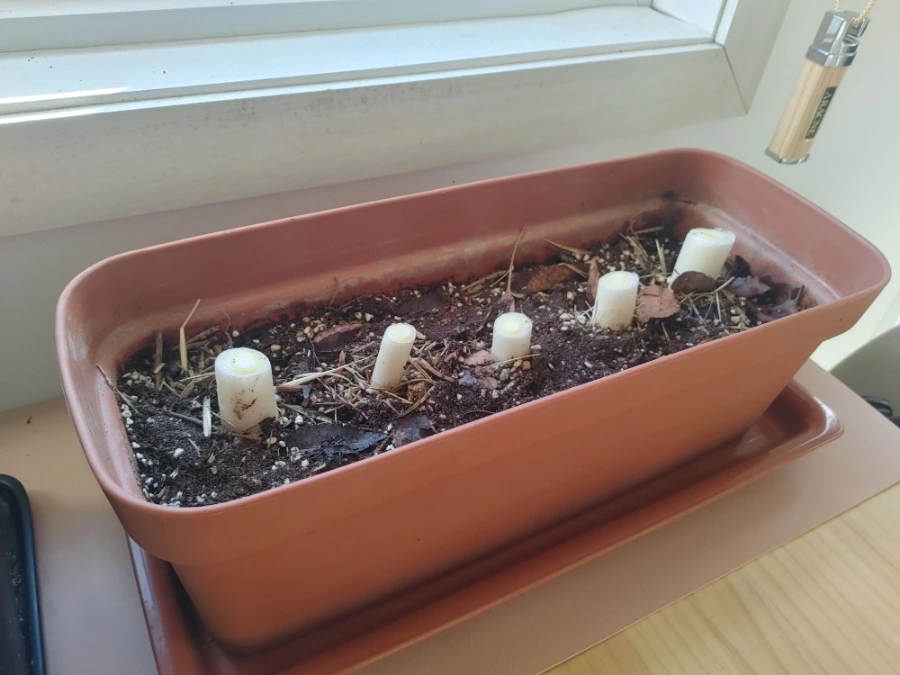 900%EF%BC%BF20251230%EF%BC%BF135812%EF%BC%BFHDR.jpg?type=w1