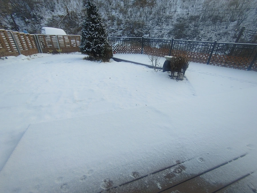 900%EF%BC%BF20260113%EF%BC%BF082016.jpg?type=w1