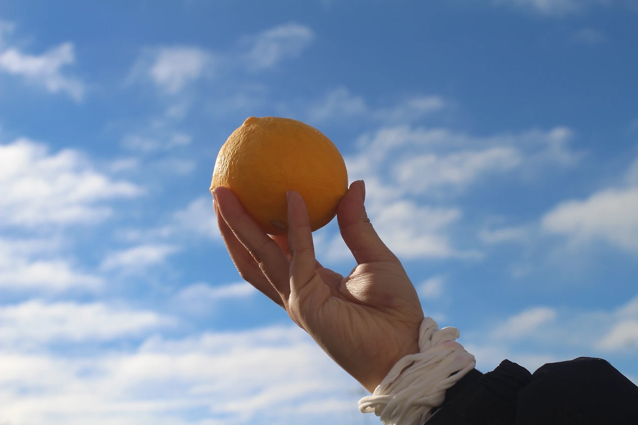 뉴질랜드 (26).JPG