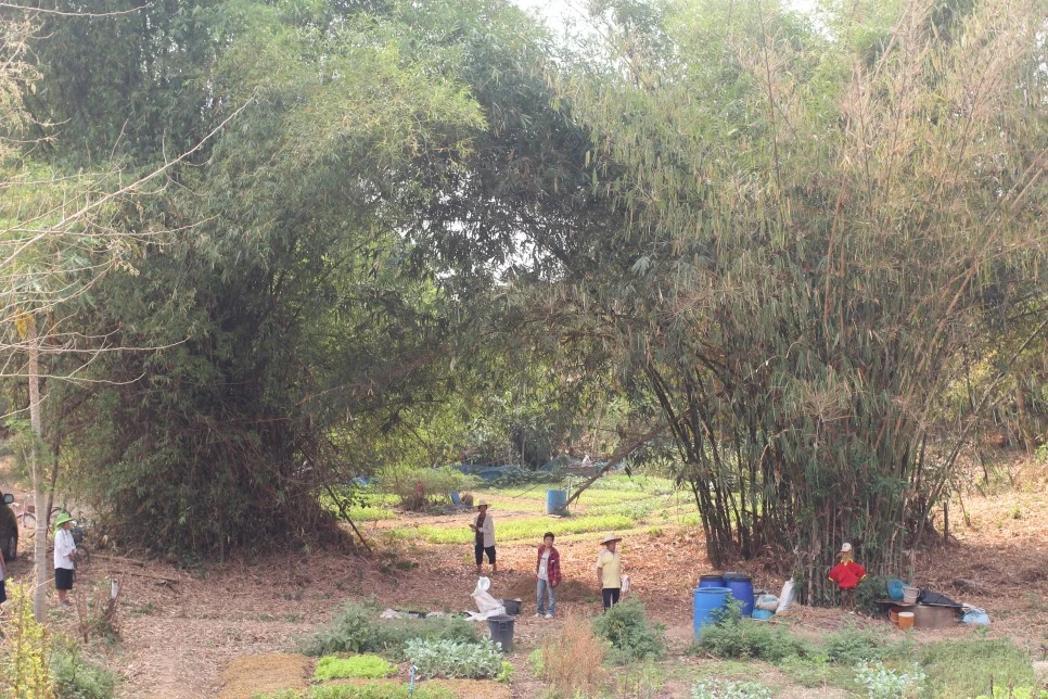 IMG_3939.JPG?type=w966