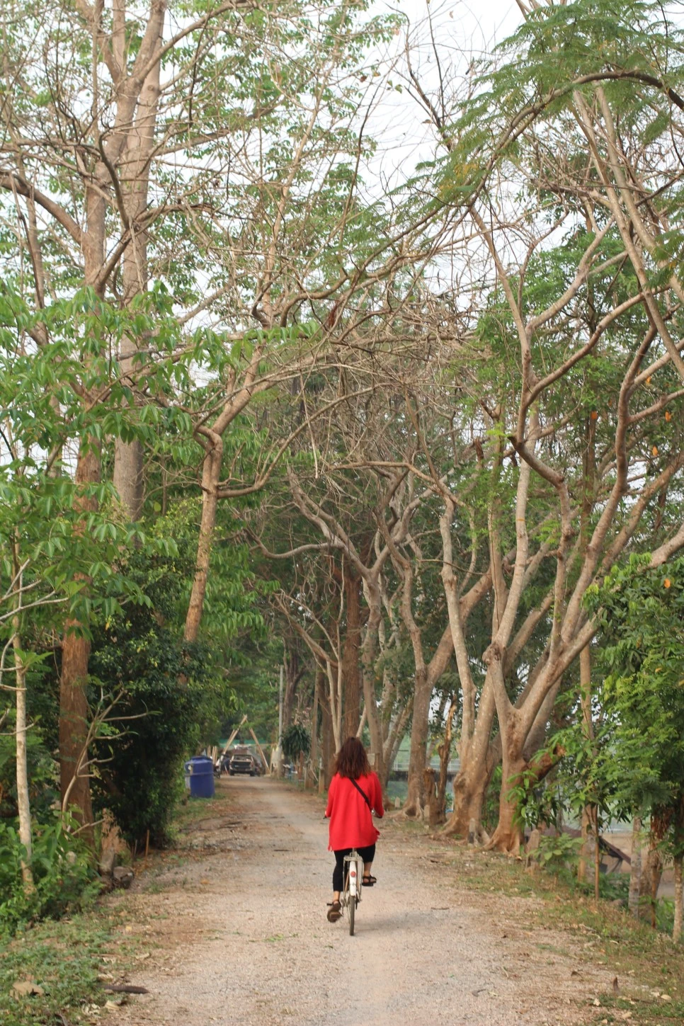 IMG_3753.JPG?type=w966