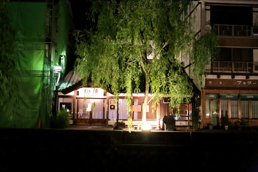 %C7%C1%B8%AE%BA%CF117.JPG?type=w1