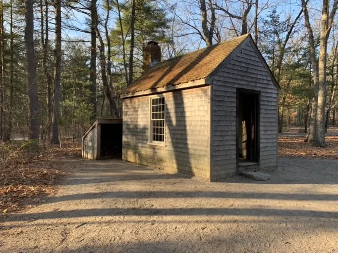 다운로드 (1).jpeg