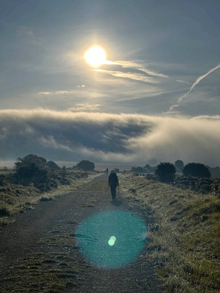 9E8BA492-1FE9-4F77-8A8E-094A7EB945F8_1_105_c.png?type=w1