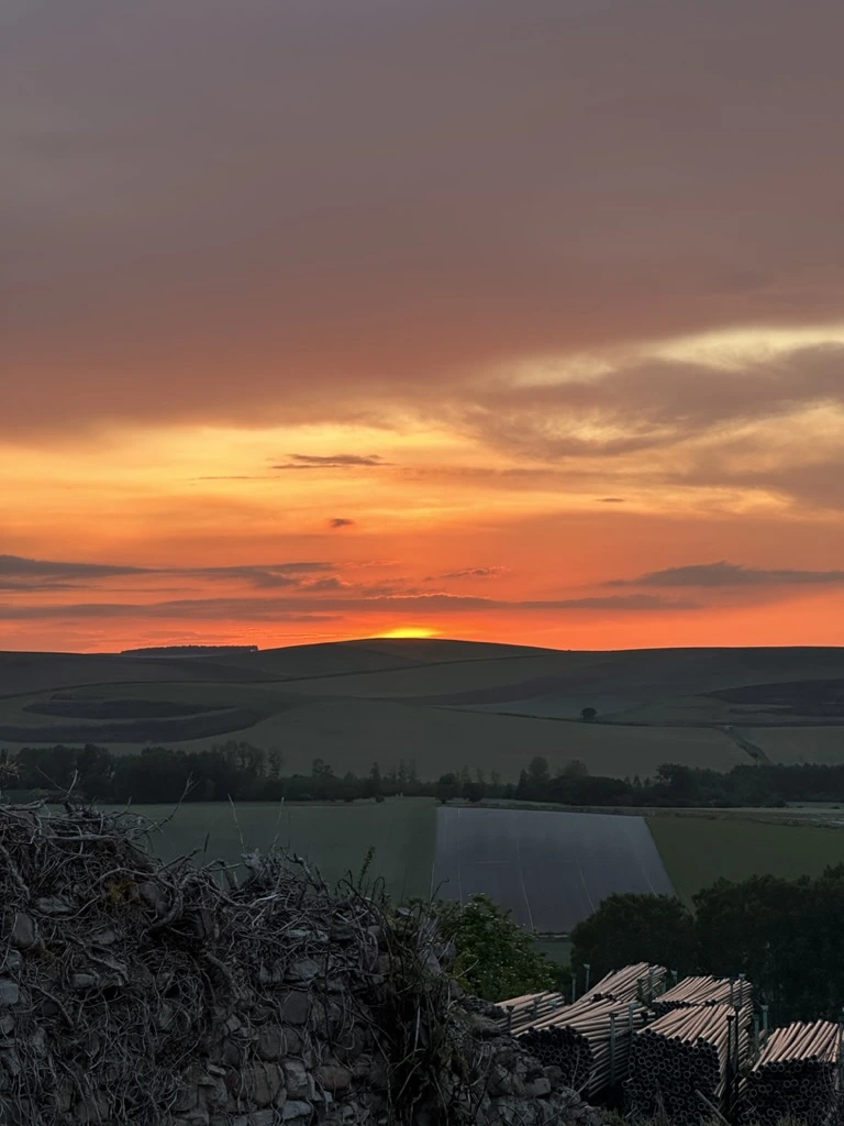 059CFF44-F95D-407C-9B30-3091FDA2BD38_1_105_c.jpeg?type=w1