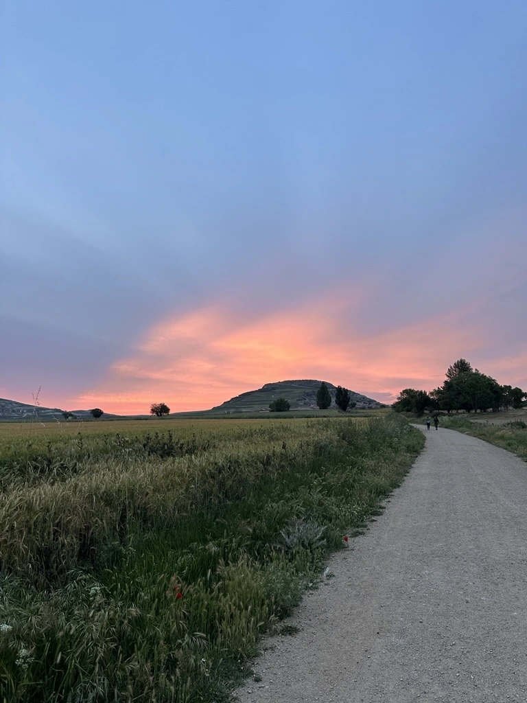 3830D061-A9AA-4C71-8169-EB09EC6578E0_1_105_c.jpeg?type=w1