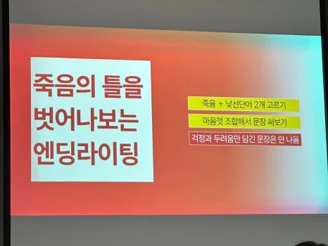 SE-294d2ccb-1b9e-40fd-9fea-50db57e6ce6b.jpg?type=w466