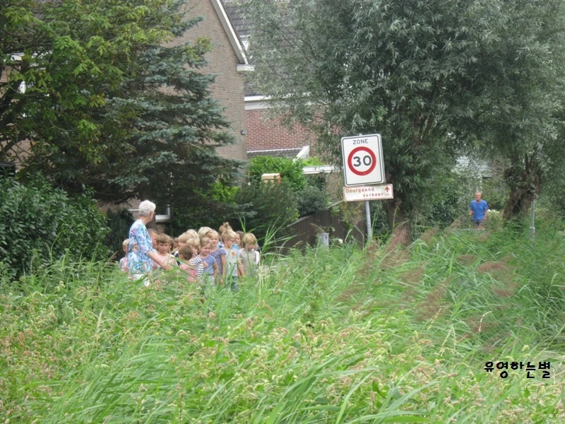 IMG_1594 - 복사본.JPG